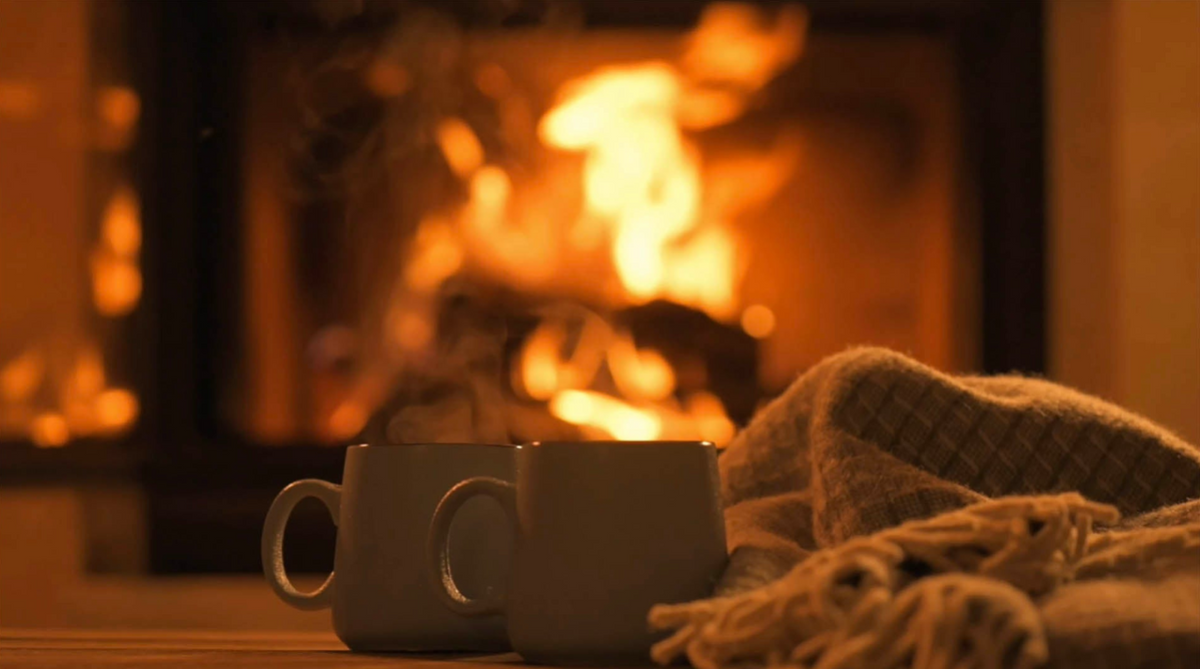 Warm haardvuur met ovengedroogd haardhout